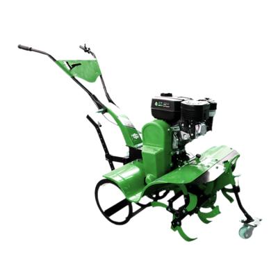 China Farms Easy To Operate Farm Tractor Gasoline Tiller Diesel Walking Cultivator For Supplier In China for sale