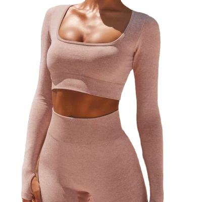 China 2021 High Elastic Seamless QUICK DRY Women Yoga Wear Set Popular Custom Wholesale Fitness Yoga Suit Diet Quick Dry for sale