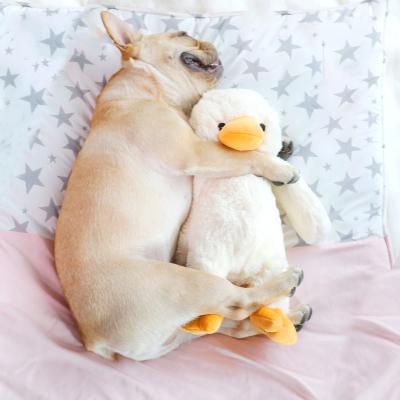 China Dog Toy OEM Customized New Style Interactive Cute Soft Chew Toys Stuffed Duck Plush Dog Pet Toy As Gift for sale