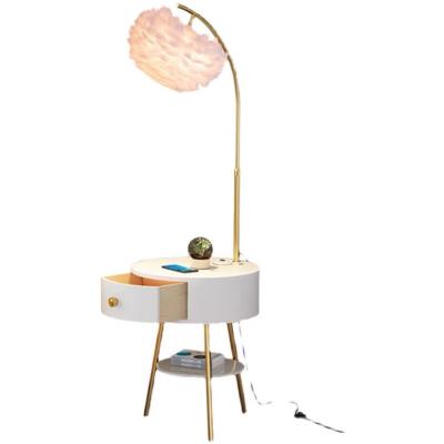 China Lighting Works Modern Bedside Feather Standing Floor Lamp With Shelves for sale