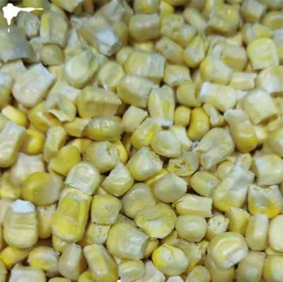 China FROZEN corn kernels for sale