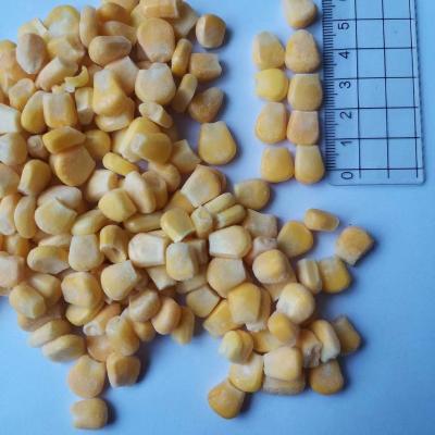 China FROZEN corn kernels for sale