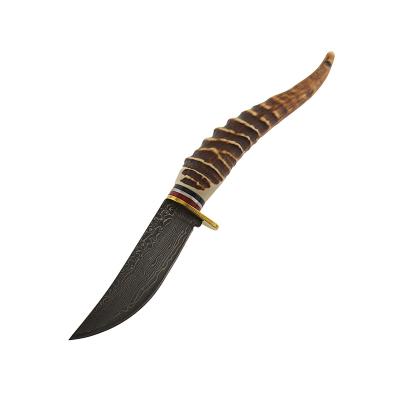 China Non-variable Most Popular Fixed Blade Deer Horn Handle Etched Outdoor Hunting Knife for sale