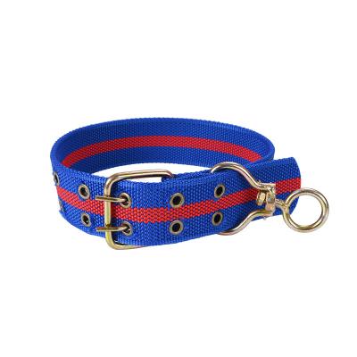 China Personalized Thoughtful Pet Logo Dog Collar Custom Made Low Price Guaranteed Quality for sale