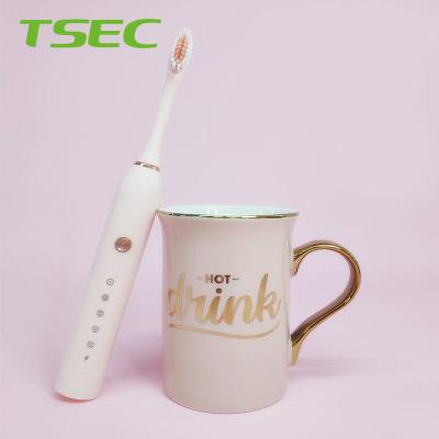 China New Design Baby Y1 Holder X3 Holder Nano Electric Slim Head Toothbrush White Battery Powered Travel Mini Electric for sale