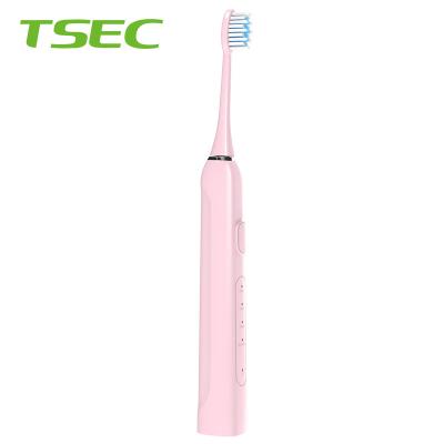 China New Product Battery Operated Private Label U Shaped Children Motor Dental Care Fairywill Sonic The Electric Toothbrush For Adult for sale