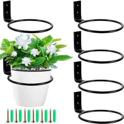 China 2021 Simple Modern Plant Rack Metal Ring Wall Hanging Rack Plant Flower Pot Wall Mounted Hook for sale