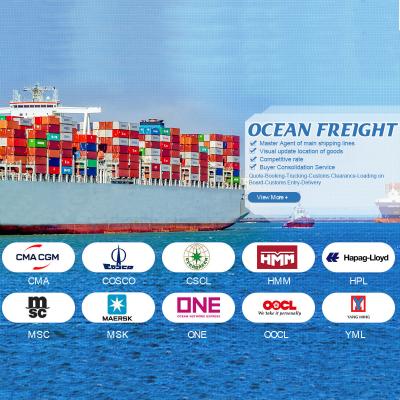 China China To Turkey Professional Container Sea Freight Shipping Service Agent for sale