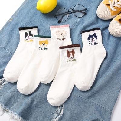 China Breathable Yarn Summer Cotton Cute Dog Women Socks Mid Calf Socks for sale