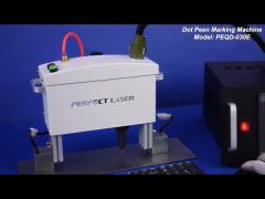 Perfect Laser Industrial Portable Dot Peen Marking Machine with LCD Control