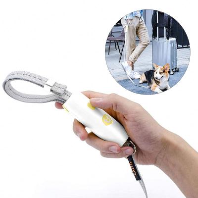 China CWW Lights Hands Strap Free Adjustable Length Dog Thoughtful Leash For Daily Walking for sale