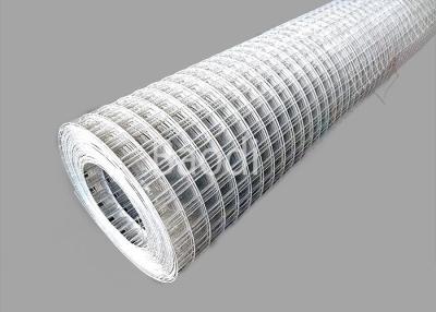 China Galvanised Welded Wire Mesh 25mm × 25mm, BWG21, 0.58m x 45m Roll for sale