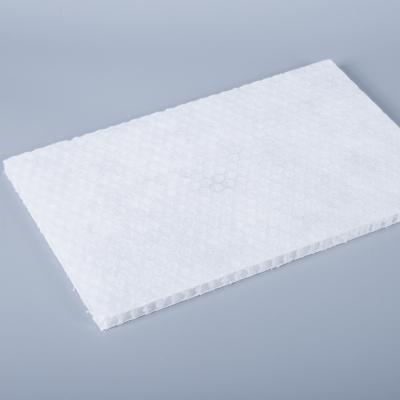 China produtos do favo de mel de 600x1200mm, núcleo de favo de mel do polipropileno com tela não tecida à venda