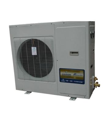 China Refrigeration Parts Customized Good Price Professional Cold Room Condensing Unit For Freezer With High Quality for sale