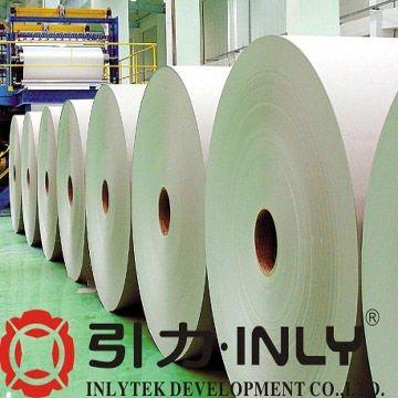 China Factory Supply Waterproof PET LABEL Self Adhesive Direct Thermal PVC BOPP Label Jumbo Roll for sale