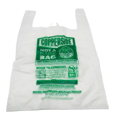 China Safety PLA Biodegradable Eco Friendly Shopping Bag for sale