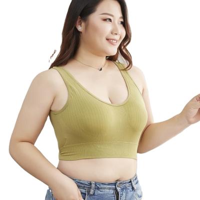 China Wholesale pump plus size underwear 2021 new ladies plus size fat top plus beauty back tube with free bra sports underwear for sale