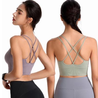 China 2021 Eco-friendly Yoga Bra Wholesale Women's Breathable Leisure No Steel Ring Vest Gathers Fitness Sports Underwear for sale