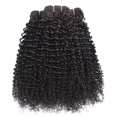 China Jerry Curl Xuchang Hair Factory Virgin Malaysian Kinky Curly Hair, Aligned Top Virgin Hair, Curly Hair Luxury Bundle for sale