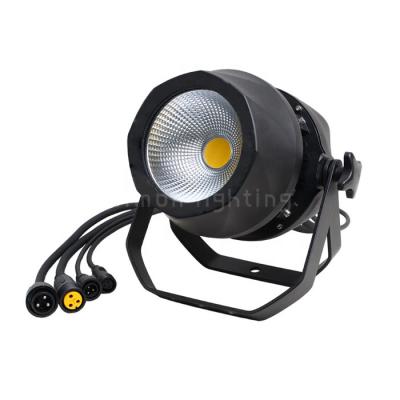 China Waterproof Outdoor IP65  Warm White 200W COB LED Studio Par Can Light for sale