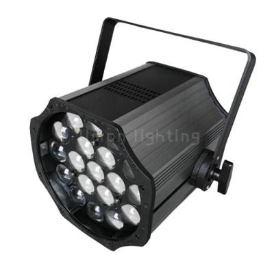 China Super Brightness 19x15w RGBW 4in1 COB LED Par Light with Motorized Zoom for sale