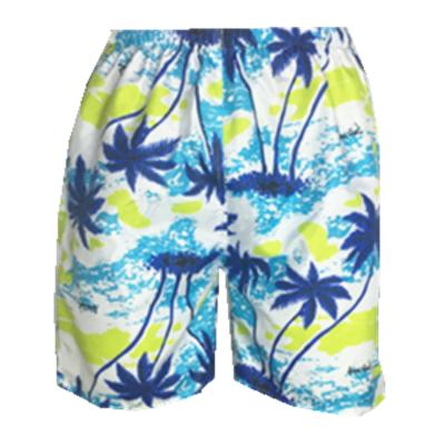 China 2019 Non-Toxic Non-Toxic Cikini Floral Printing Beach Swimwear Swimming Pants Swim Men's Shorts for sale