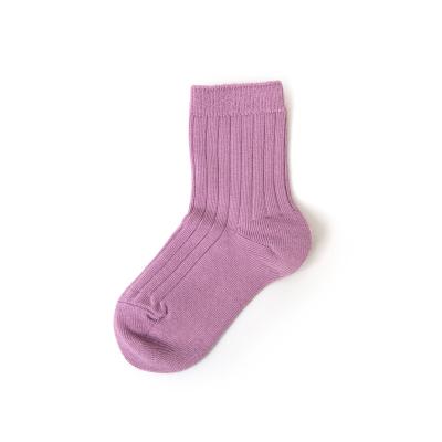 China High Quality Goods Breathable Rib Essentials Stocking Sock Plain Unisex Bump Socks Wholesale for sale