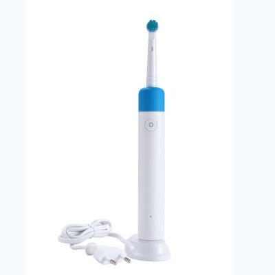 China Dupont Nylon Braces Top Selling Customized Rotating Electric Toothbrush With 2 Minute Timer for sale