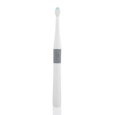 China New Baby Battery Powered Thin Size Electric Toothbrush Free Shipping For Sale for sale