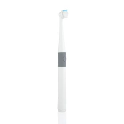 China OEM Factory Battery Holder Electric For Adults Customized Electronic Toothbrush for sale