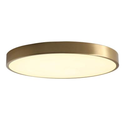 China Modern Copper Bedroom Decoration Living Room Corridor Bedroom Fancy Home Led Ceiling Light Lamp for sale