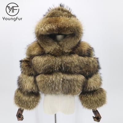 China Hot Sale Womens Real Raccoon Fur Coat Women's Classic Raccoon Fur Coat Anti-Shrink Winter Coat Women's Real Grown Fur Coat With Hood for sale