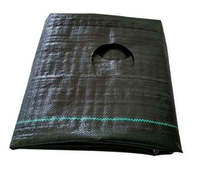 China Black Greenhouse Orchard Moisture-proof Breathable Cloth Anti-straw Plastic Sheet Anti-aging Mat for sale