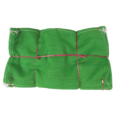 China breathability; sustainable ; multifunctional bean mesh bag can be customized packaging bag 50g polyethylene material for sale