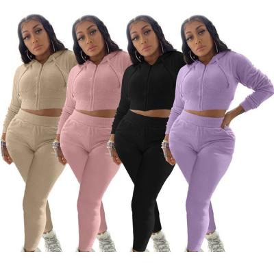 China 2021 Anti-wrinkle Fashion Ladies Tracksuit Zip Up Autumn Jogger Fitness Hoodie Long Sleeve Two Piece Sets Women Clothing for sale