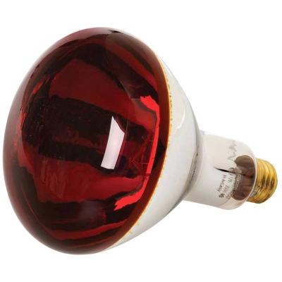 China Animal Production Red Brooder Heat Lamp Infrared Led Bulb Light For Pigs Poultry Chicks Animal Farm R125 150W 250W IR for sale