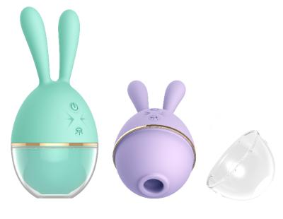 China Women Massage Women To Massage Rabbit Shape Air Sucking Stimulator Rabbit Sucking Toy Clitoral Vibrator for sale