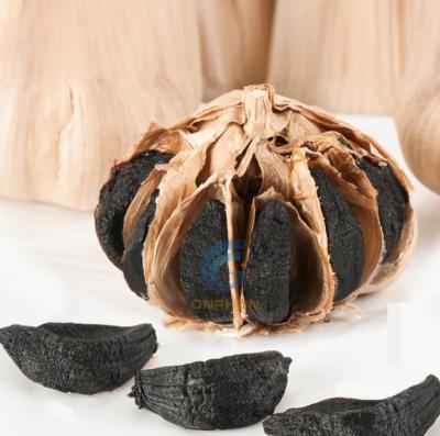 China food & Beverage Factory Exported To Colombia Fermented Black Garlic Machine for sale