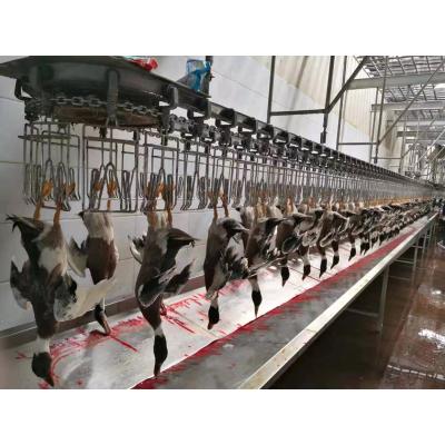 China POULTRY Chicken Duck Goose Slaughtering Processing Line for sale