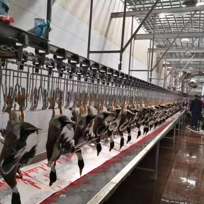 China POULTRY 304 stainless steel poultry slaughter lines / duck processing plant supplier for sale