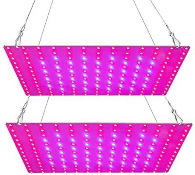 China High Temperature Full Spectrum Led To Grow Lights Indoor Hydroponic Waterproof Soilless 110V 2835 5730 Full Spectrum for sale