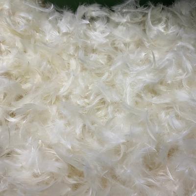 China Wholesale Eco-friendly Natural White Duck Feather for sale