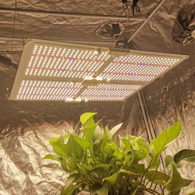 China Seed Starting 480W Yastar LM301H LM301B 660nm Indoor Grow Plant Lamp Horticulture Planting LM301H Led Grow Lights for sale