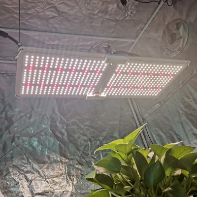 China FLOWER 2021 grow light dimmer 240w samsung lm301h best dimmable 288 meanwell tips driver 0-10v led to grow lights 2021 for sale