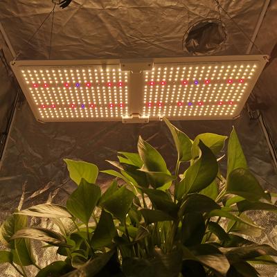 China FLOWER lm301h Osrm 660nm veg switch led grow guide 240W optical UV light for plant grow UV grow light for sale