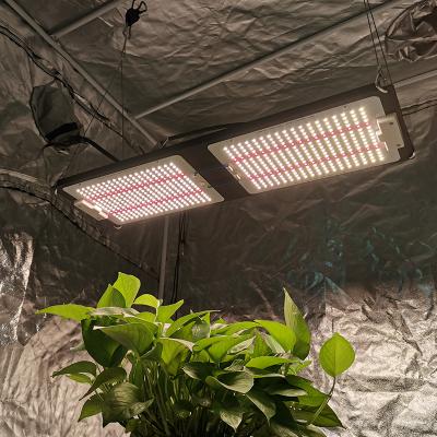 China Seed Starting Best YASTAR 240W Samsung LM301B LM301H Board Epistar Flower Led To Grow Plant Light For Growing Plants for sale