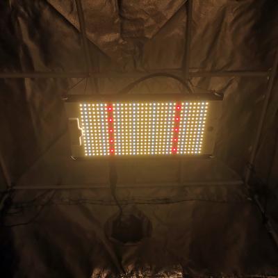 China Seed starting Yastar LM301H 3000K&5000K Samsung lm301B with 660nm red grow led to grow light for sale