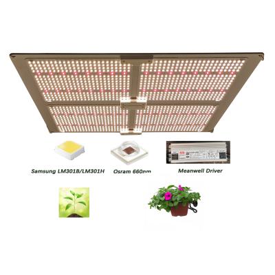 China Newest Yastar seed starting led grow light 600W lm301b IR UV light for growing waterproof plant for sale