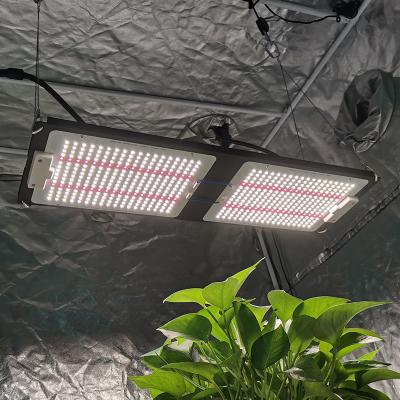 China FLOWER 240w Samsung 301b lm301h led grow lamp for 2ft width 4ft length to grow tent complete kit for sale