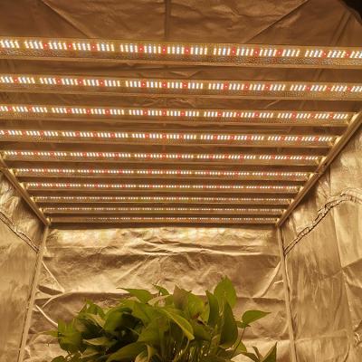 China Seed Starting Newest Yastar 10 Bars Grow Light 10 Bars Grow Light For Indoor Plants for sale